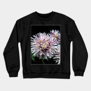 Dinnerplate Dahlia - Avignon Crewneck Sweatshirt